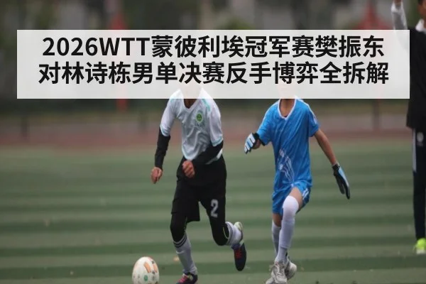 2026WTT蒙彼利埃冠军赛樊振东对林诗栋男单决赛反手博弈全拆解