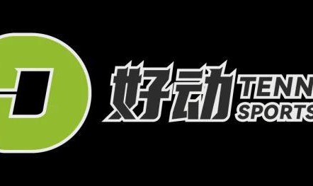 开云-网球天堂没错了！萨巴伦卡好事成双逆转莱巴金娜 辛纳集齐大师赛六项硬地冠军解锁新成就